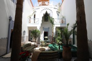 Courtyard palms at Riad La Tulipe, Marrakech